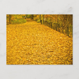 HERFST FOLIAGE VAN CORTLANDT PARK BRIEFKAART