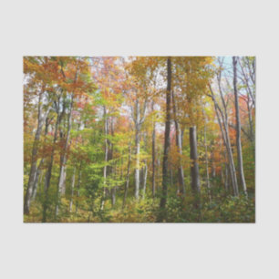 Herfst Forest I Autumn Landscape Photography Tissuepapier