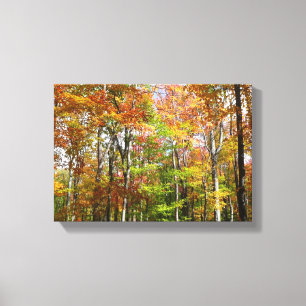 Herfst Forest II Autumn Landscape Photography Canvas Afdruk