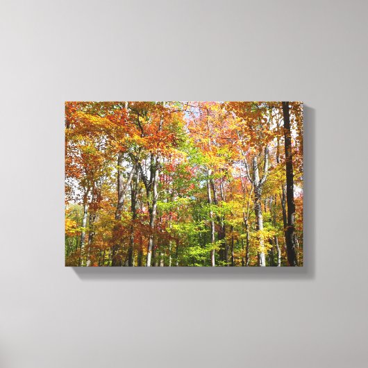 Herfst Forest II Autumn Landscape Photography Canvas Afdruk (Voorkant)