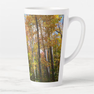 Herfst Forest II Autumn Landscape Photography Latte Mok