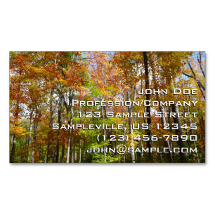 Herfst Forest II Autumn Landscape Photography Magnetisch Visitekaartje