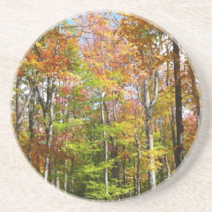 Herfst Forest II Autumn Landscape Photography Zandsteen Onderzetter