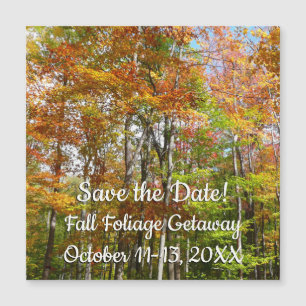 Herfst Forest II Herfstlandschap Save the Date