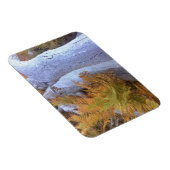 Herfst Forest Magneet (Rechterzijde)