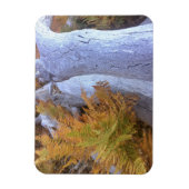 Herfst Forest Magneet (Verticaal)