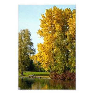 Herfst Foto Afdruk