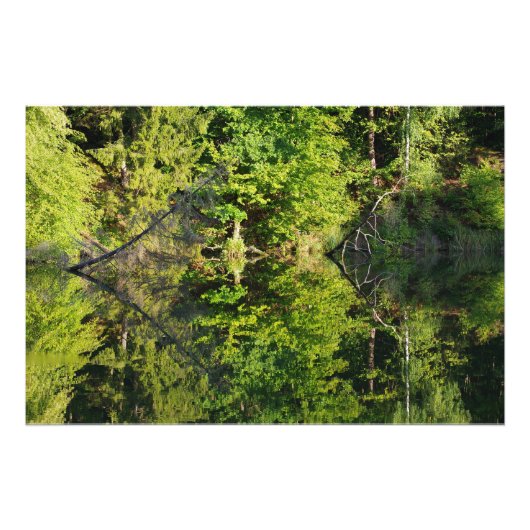 herfst foto afdruk (Voorkant)