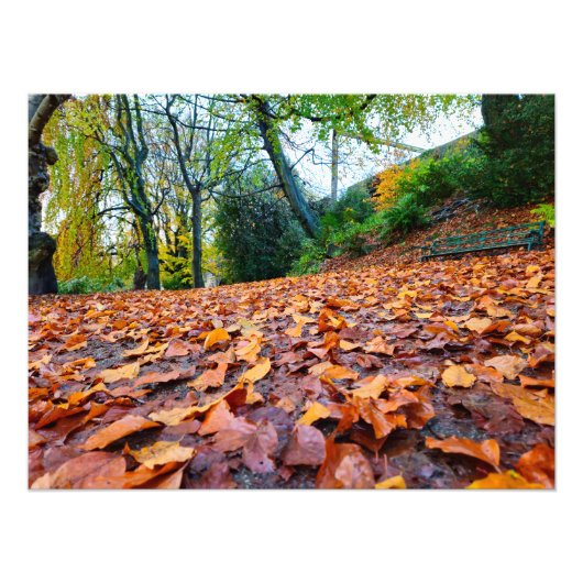 herfst foto afdruk (Voorkant)