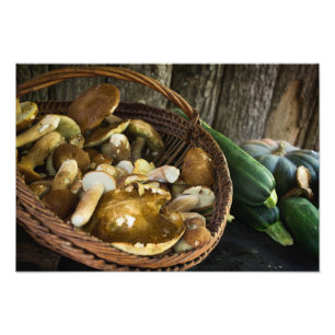 Herfst foto foto's foto's foto's nog leven afdruk