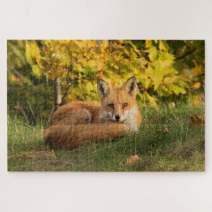 Herfst Fox Legpuzzel