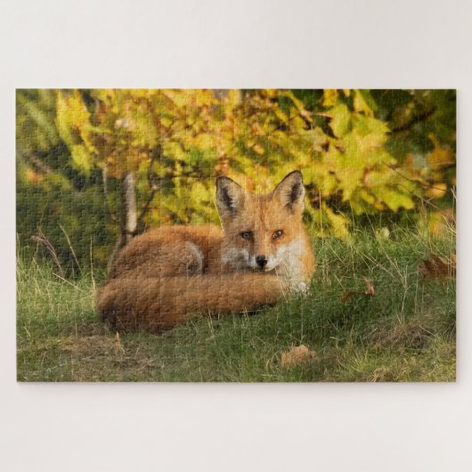 Herfst Fox Legpuzzel (Horizontaal)