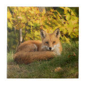 Herfst Fox Tegeltje (Voorkant)