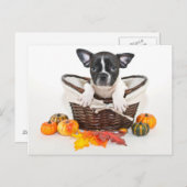 Herfst French Bulldog Briefkaart (Voorkant / Achterkant)
