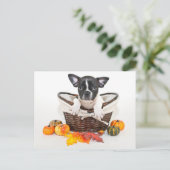 Herfst French Bulldog Briefkaart (Staand voorkant)