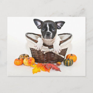 Herfst French Bulldog Briefkaart