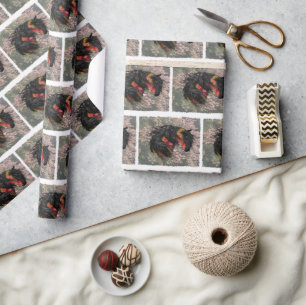 Herfst Friesian Horse Cadeaupapier