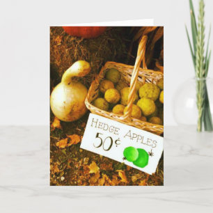 Herfst Fruit Scene Kaart