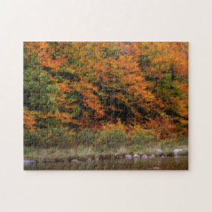 Herfst gebladerte grenzend aan de rivier legpuzzel