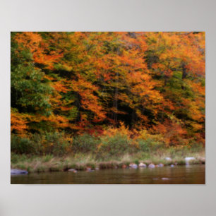 Herfst gebladerte grenzend aan River Orton Art Poster