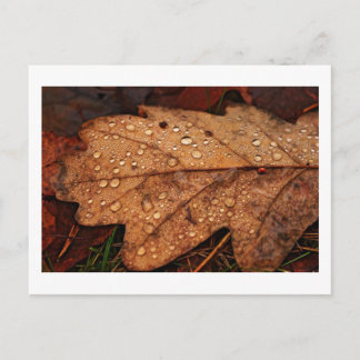 Herfst geel blad briefkaart