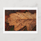 Herfst geel blad briefkaart (Voorkant)