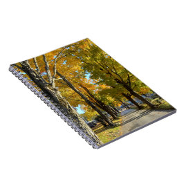 Herfst Geel Pad Spiraal Notebook Notitieboek