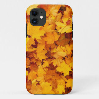 Herfst Gele Esdoornbladeren iPhone 11 Hoesje