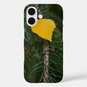 Herfst Gele Trillende Espenblad Fotografie iPhone 16 Hoesje