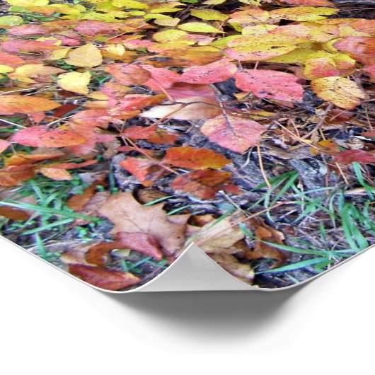 Herfst-gifivoren Poster (Hoek)