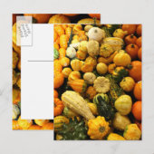 Herfst Gourds Briefkaart (Voorkant / Achterkant)