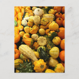 Herfst Gourds Briefkaart