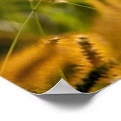 Herfst Grass Poster (Hoek)