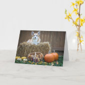 Herfst/Halloween Corgi-blanco kaart (Gele Bloem)