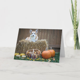 Herfst/Halloween Corgi lege kaart