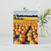 herfst halloween pompoenveld feestdagenkaart (Staand voorkant)