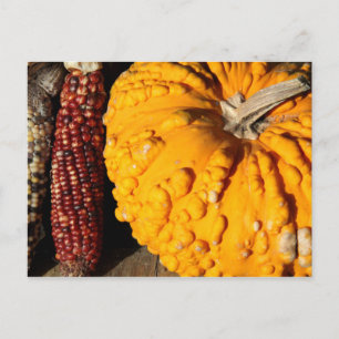 Herfst Harvest Briefkaart