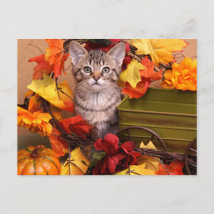 Herfst Harvest Briefkaart