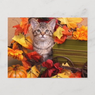 Herfst Harvest Briefkaart