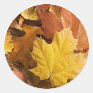 Herfst Herfst Collectie Golden Leaves Stickers