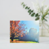 Herfst Herfst op Long Island Briefkaart (Staand voorkant)