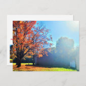 Herfst Herfst op Long Island Briefkaart (Voorkant / Achterkant)