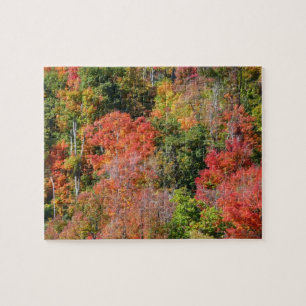 Herfst Hillside Colorful Autumn Natuur Legpuzzel
