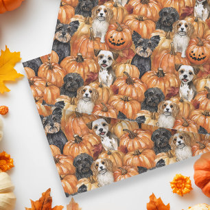 Herfst honden in een pompoenveld Halloween Tissuepapier