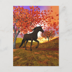 Herfst Horse Briefkaart