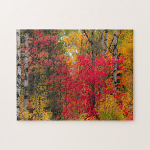Herfst in Canada. Legpuzzel