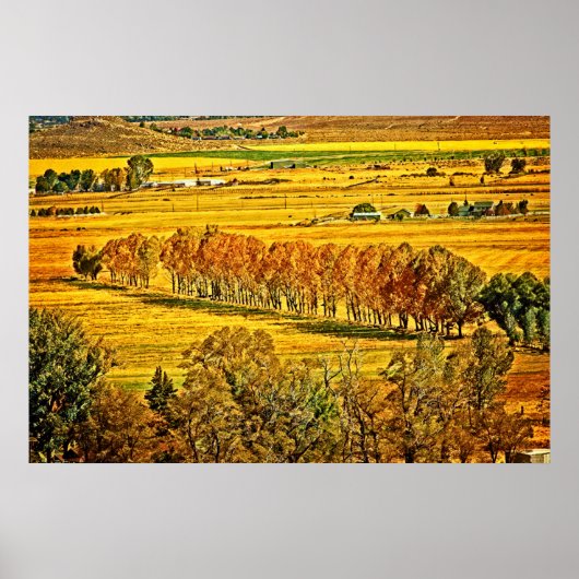 Herfst in Carson Valley Poster (Voorkant)