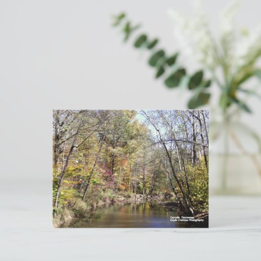 Herfst in Caryville, Tennessee Briefkaart (Staand voorkant)