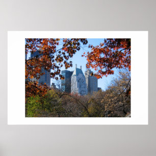 HERFST IN CENTRAAL PARK NYC-poster voor fotografie Poster