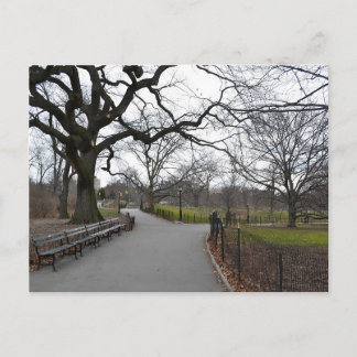 Herfst in Central Park NYC Briefkaart